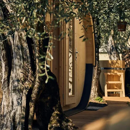 Hotel Paradiso Conca D'oro 3*