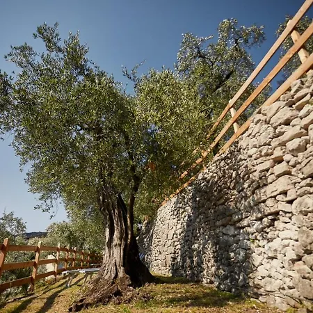 Paradiso Conca D'oro Torbole Sul Garda